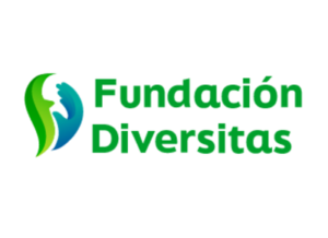 fundación diversitas