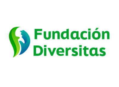 fundación diversitas